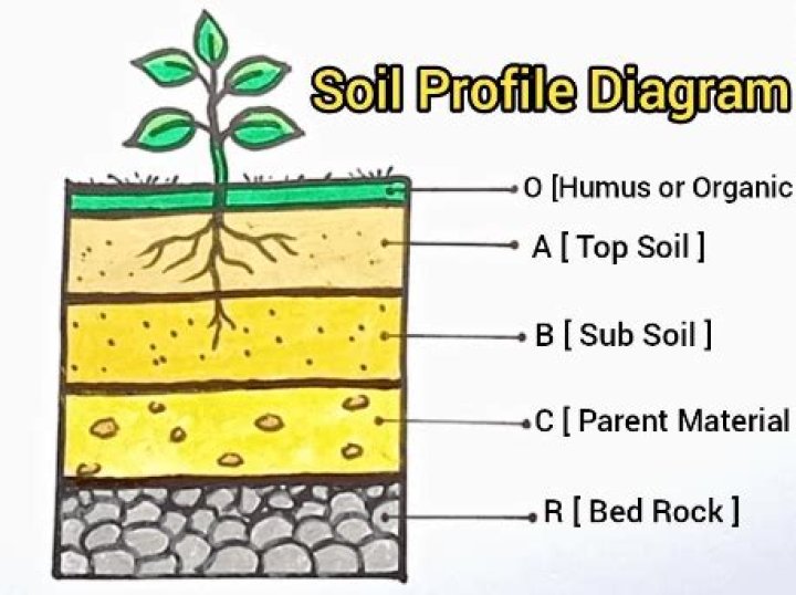 What does soil profile mean?