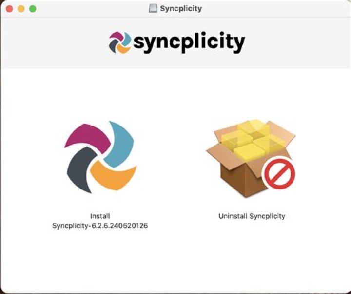 What does Syncplicity do?