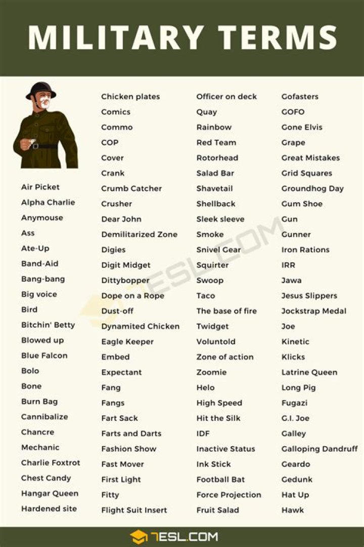 What does the term regular army mean?