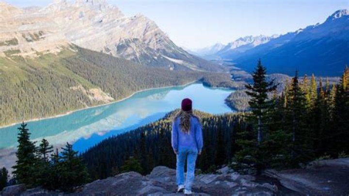 What fish are in West Canada Creek?