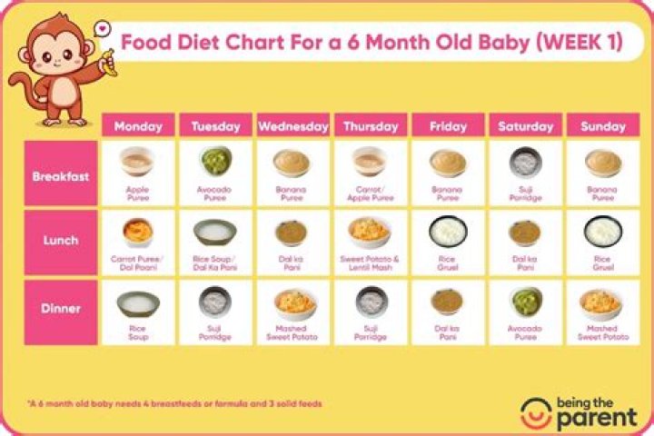 What food we can give to 7 months baby