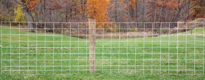 What gauge are cattle panels