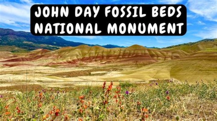 What geologic process was responsible for forming the fossil beds at John Day National Park?