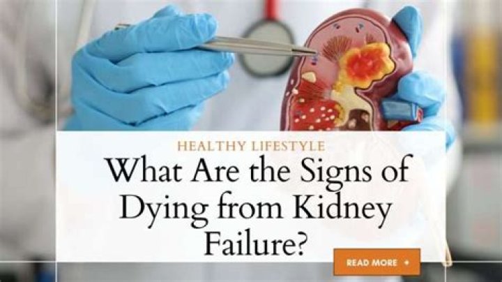 What happens when you die from kidney failure?
