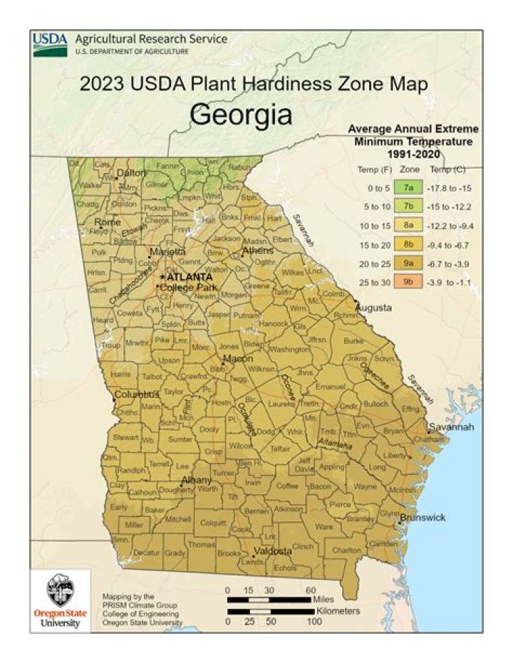 What hardiness zone is Savannah GA