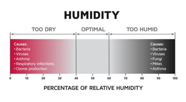 What humidity level should you set your dehumidifier at