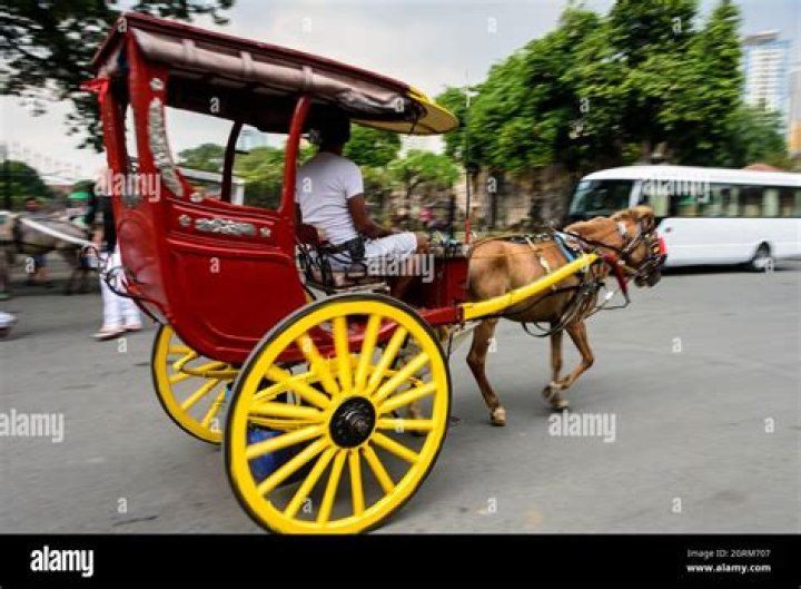 What is a 2 wheeled carriage called?