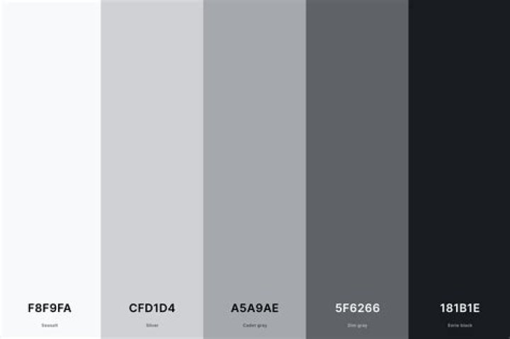 What is a black and white color scheme called?