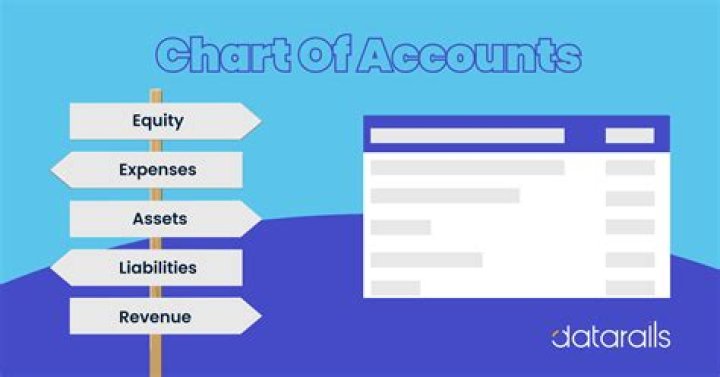What is a chart of accounts Government?