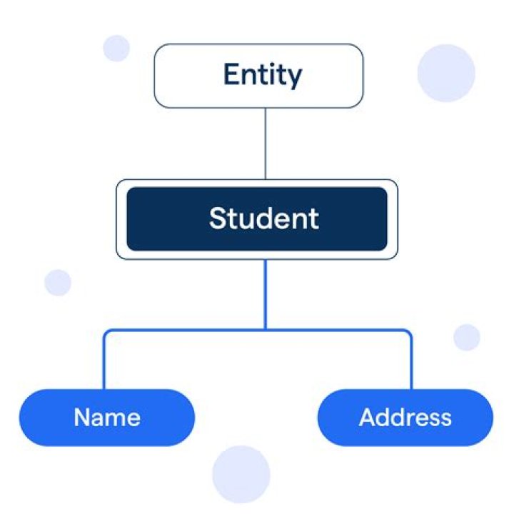 What is a custom entity