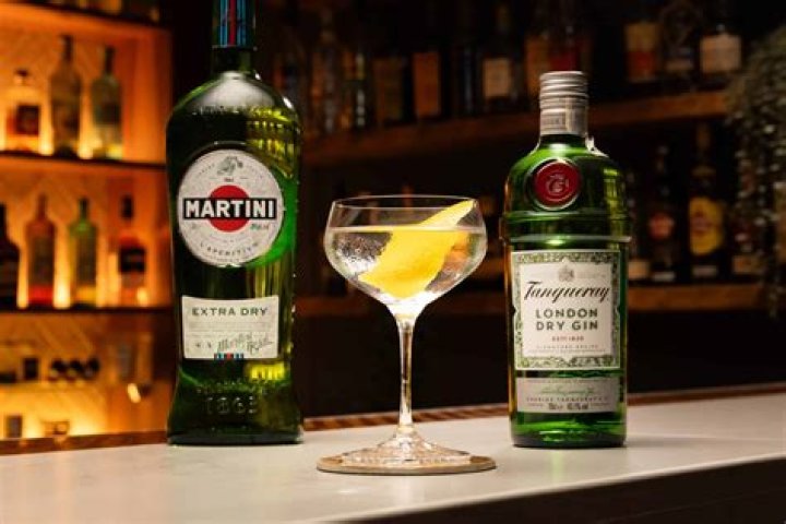 What is a dry martini mean?