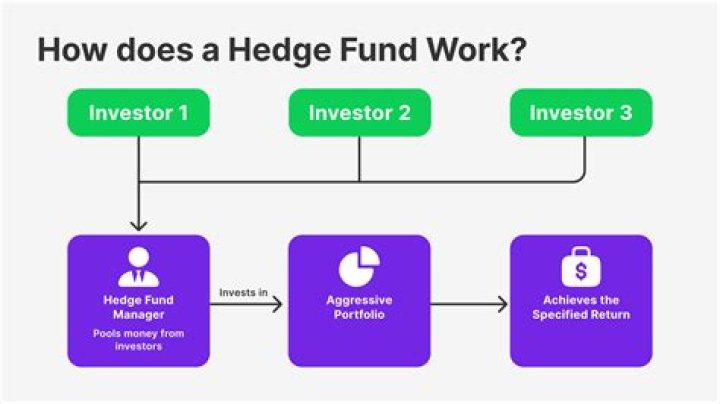 What is a hedge fund prospectus?
