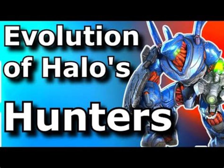 What is a hunter Halo?