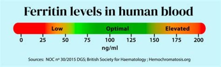 What is a low ferritin level number