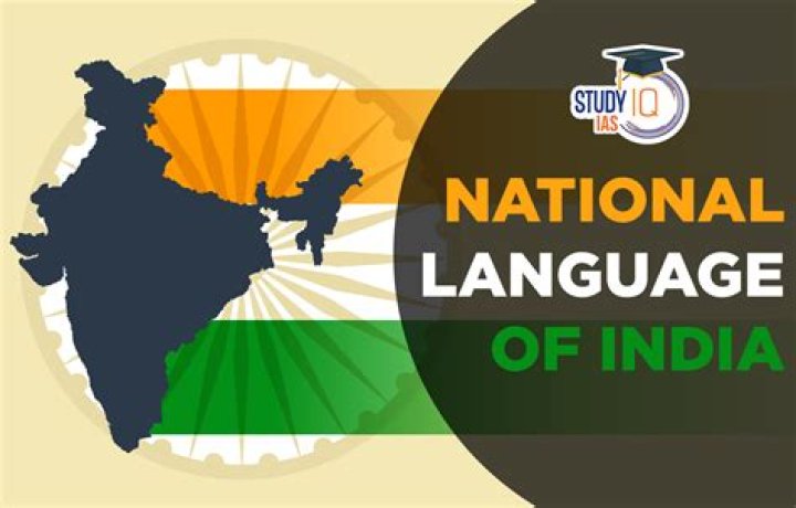 What is a national language policy?
