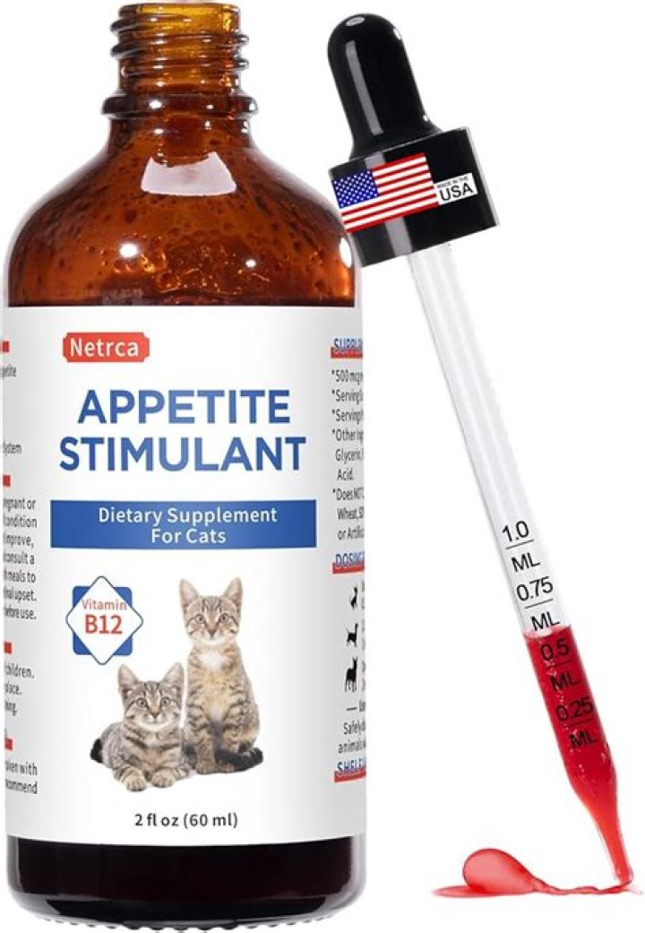 What is a natural appetite stimulant for cats