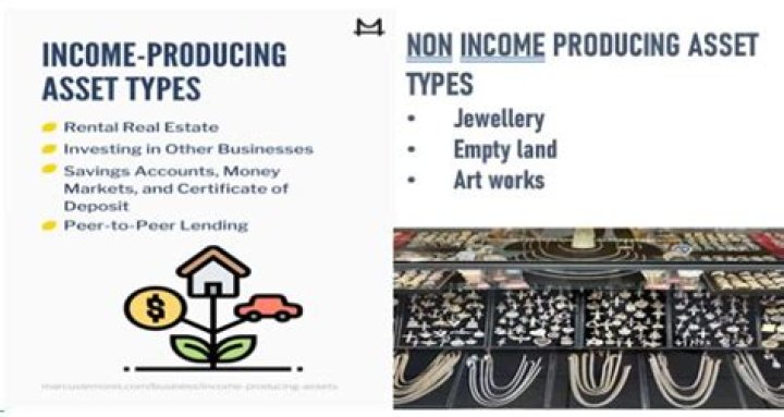 What is a non income producing security?