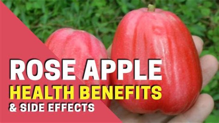 What is a rose apple fruit?