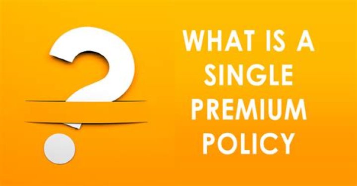 What is a single premium policy?