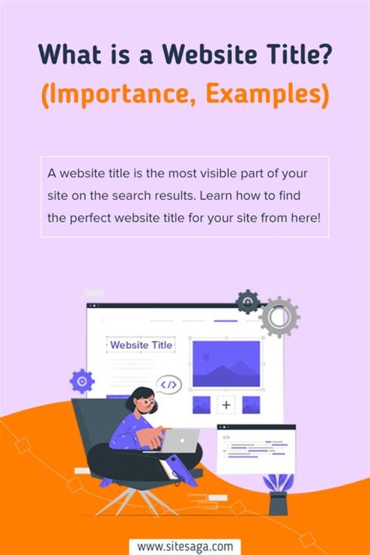 What is a title report sample