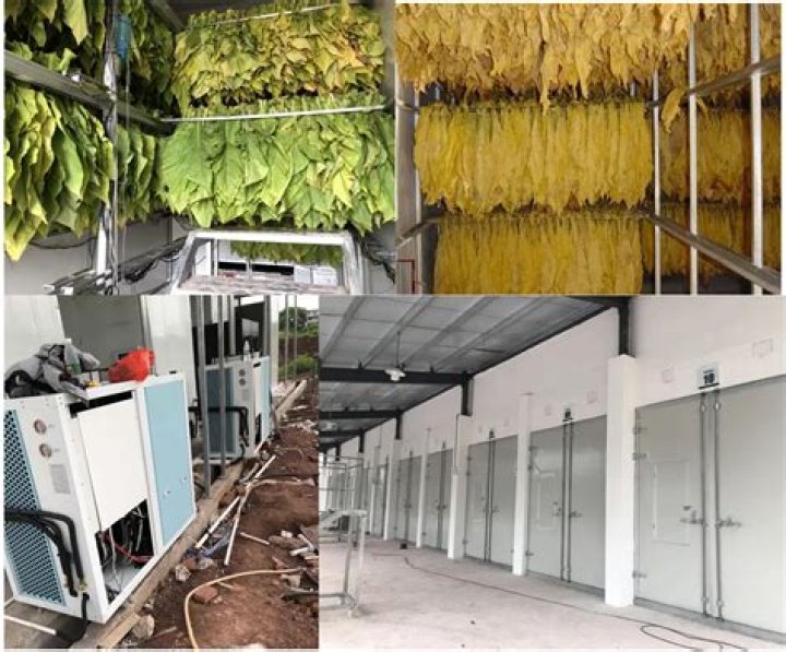 What is a tobacco dryer called