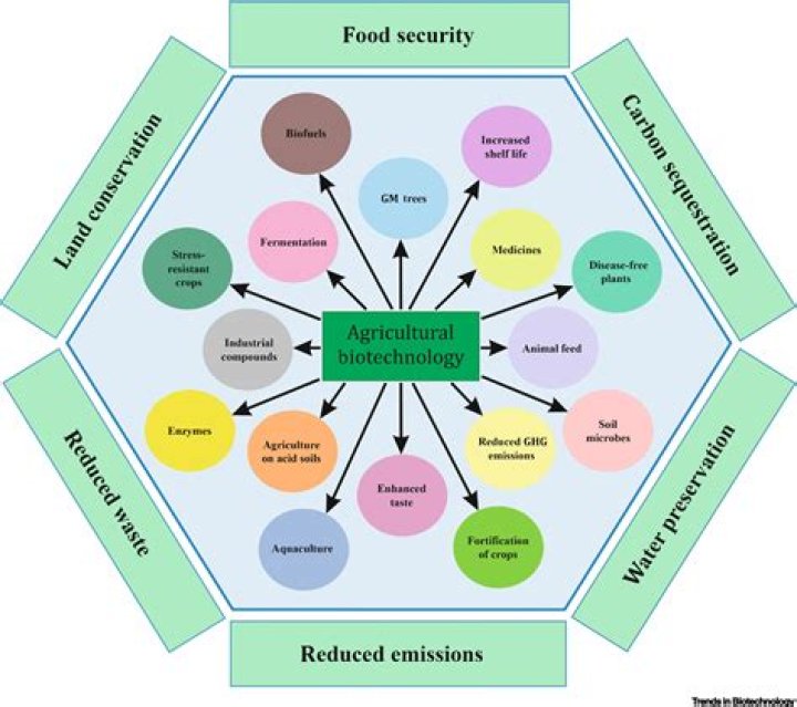 What is agriculture in social studies?