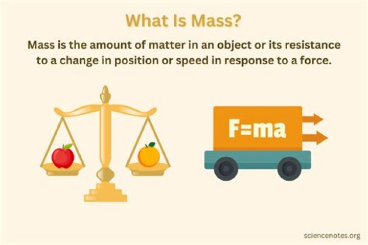 What is an example of mass behavior?