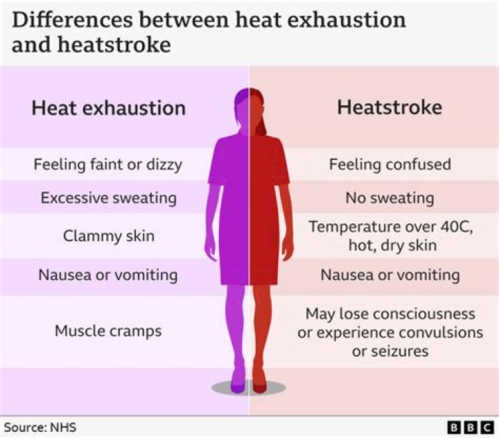 What is an example of the exhaustion stage?
