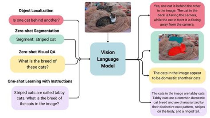 What is an Overidentified model