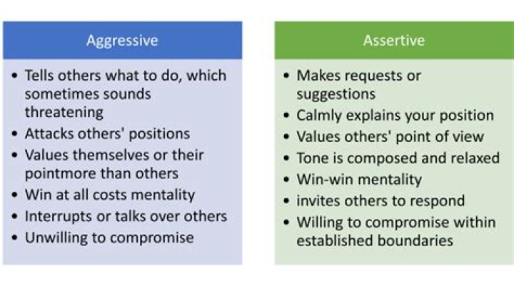 What is assertive and non assertive?