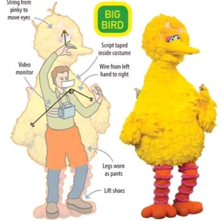 What is Big Bird famous for?