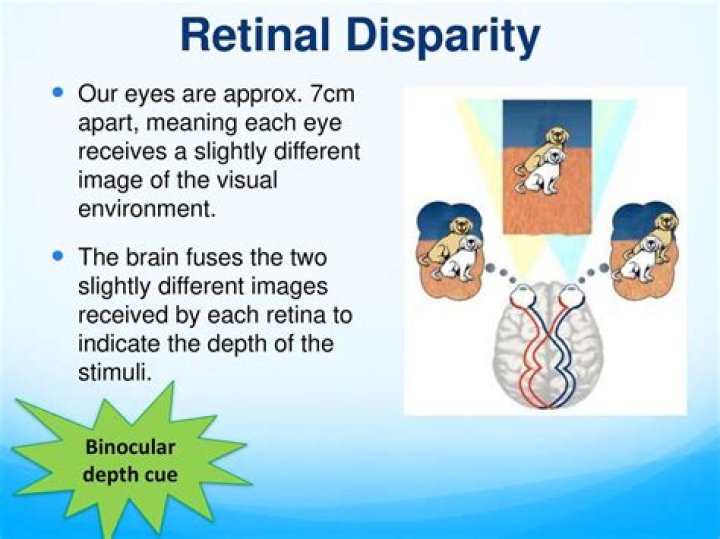 What is binocular or retinal disparity