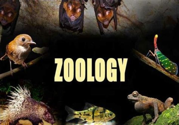 What is botany and zoology?