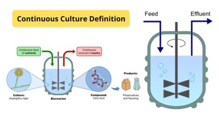 What is continuous culture? | ContextResponse.com