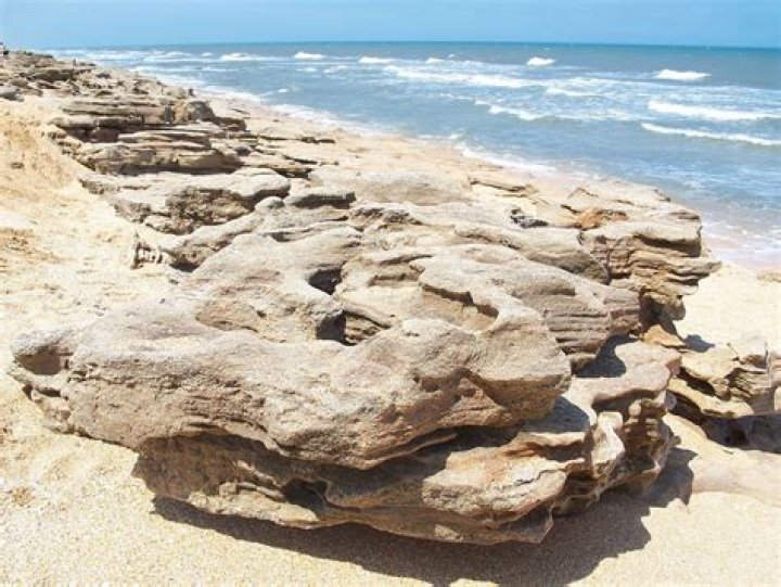 What is coquina rock used for?