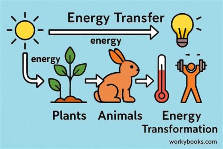 What is energy transfer Bitesize