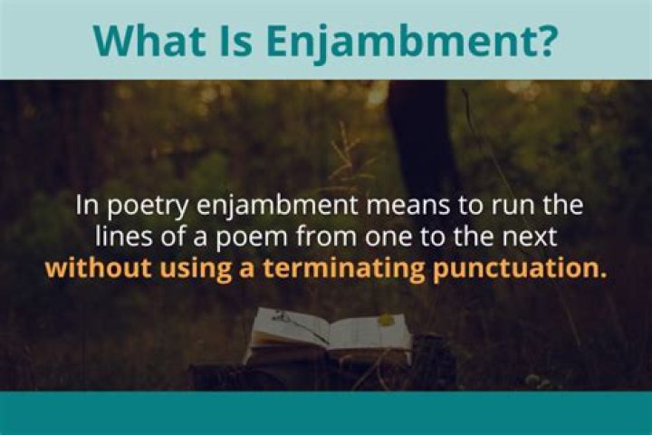 What is Enjambment literature