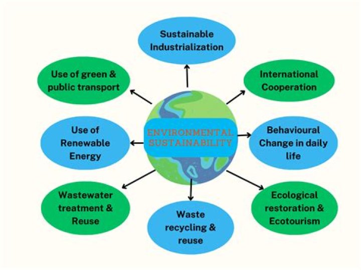 What is environmental complexity