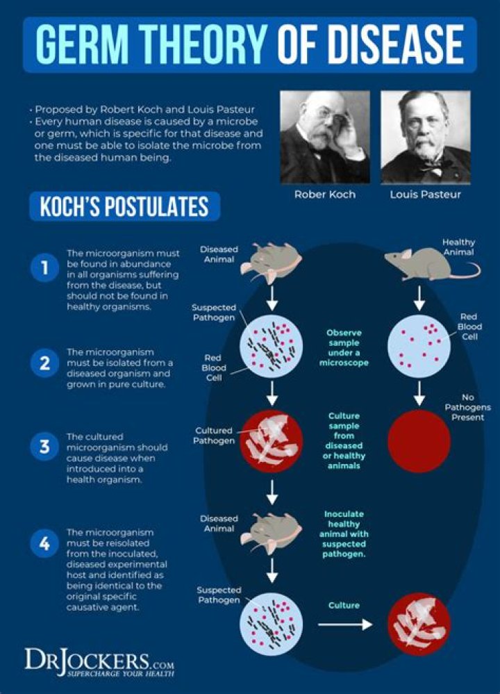 What is germ theory of disease Robert Koch?