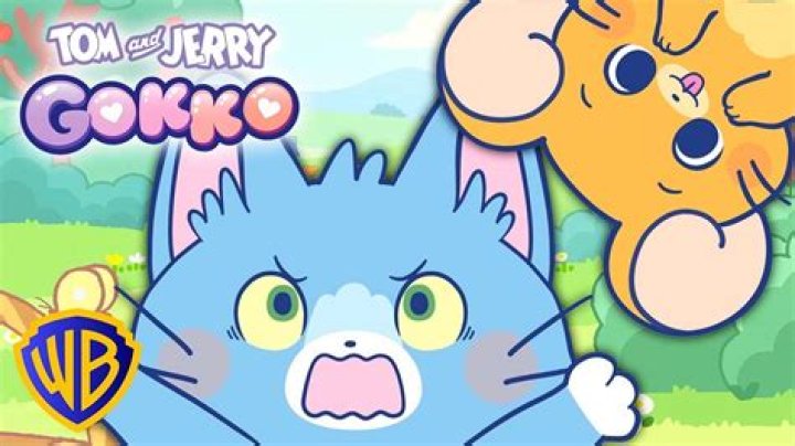 What is Gokoo?