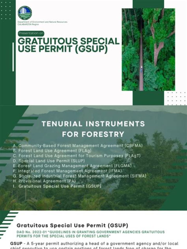 What is gratuitous permit