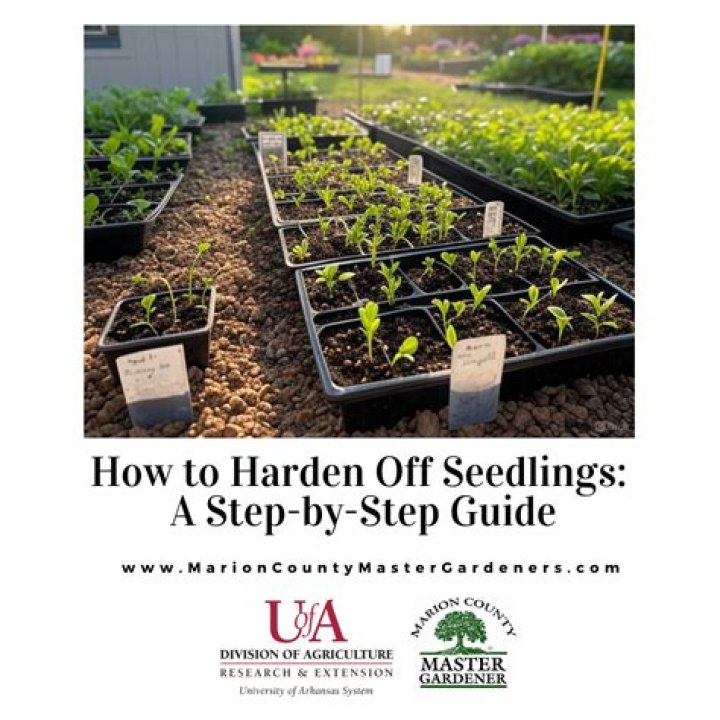 What is hardening in server