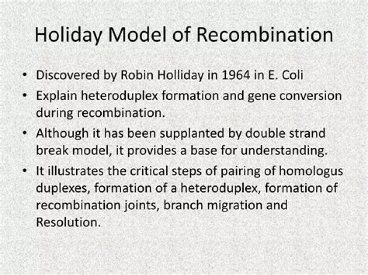 What is Holliday model of recombination?