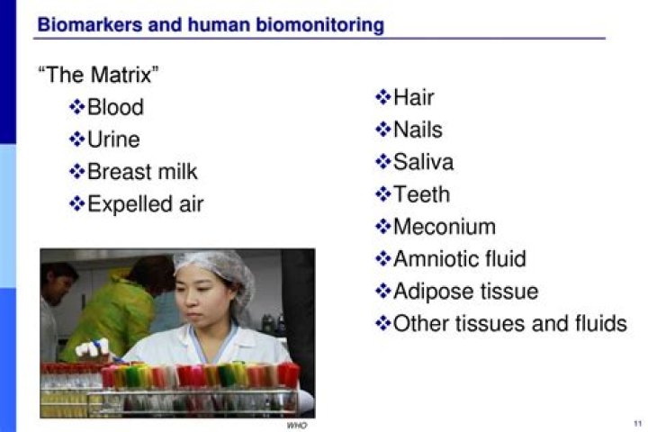 What is human biomonitoring?