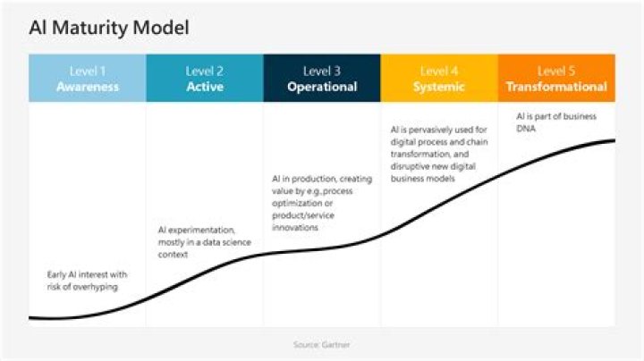 What is IBM progress Maturity Model