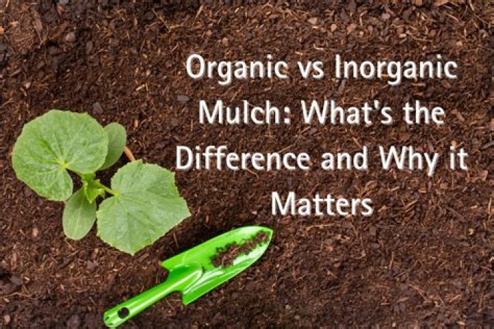 What is inorganic mulch? | ContextResponse.com