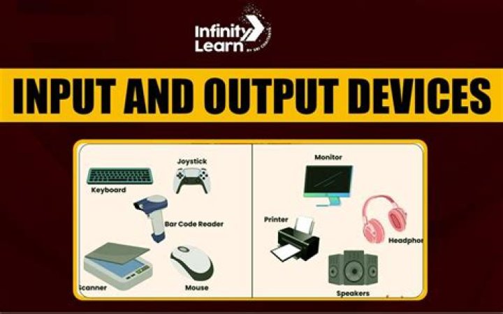 What is input and output force?