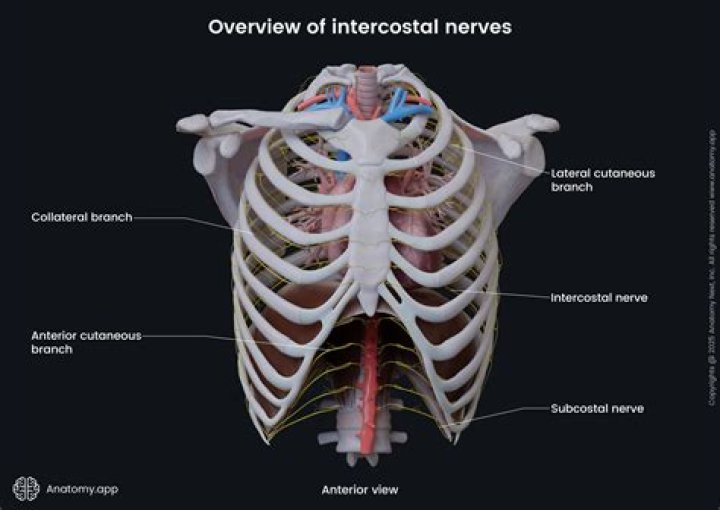 What is intercostal Indrawing