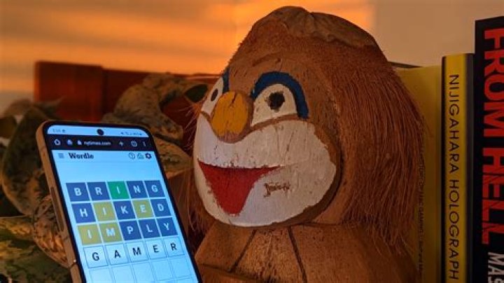 What is Magicseaweed