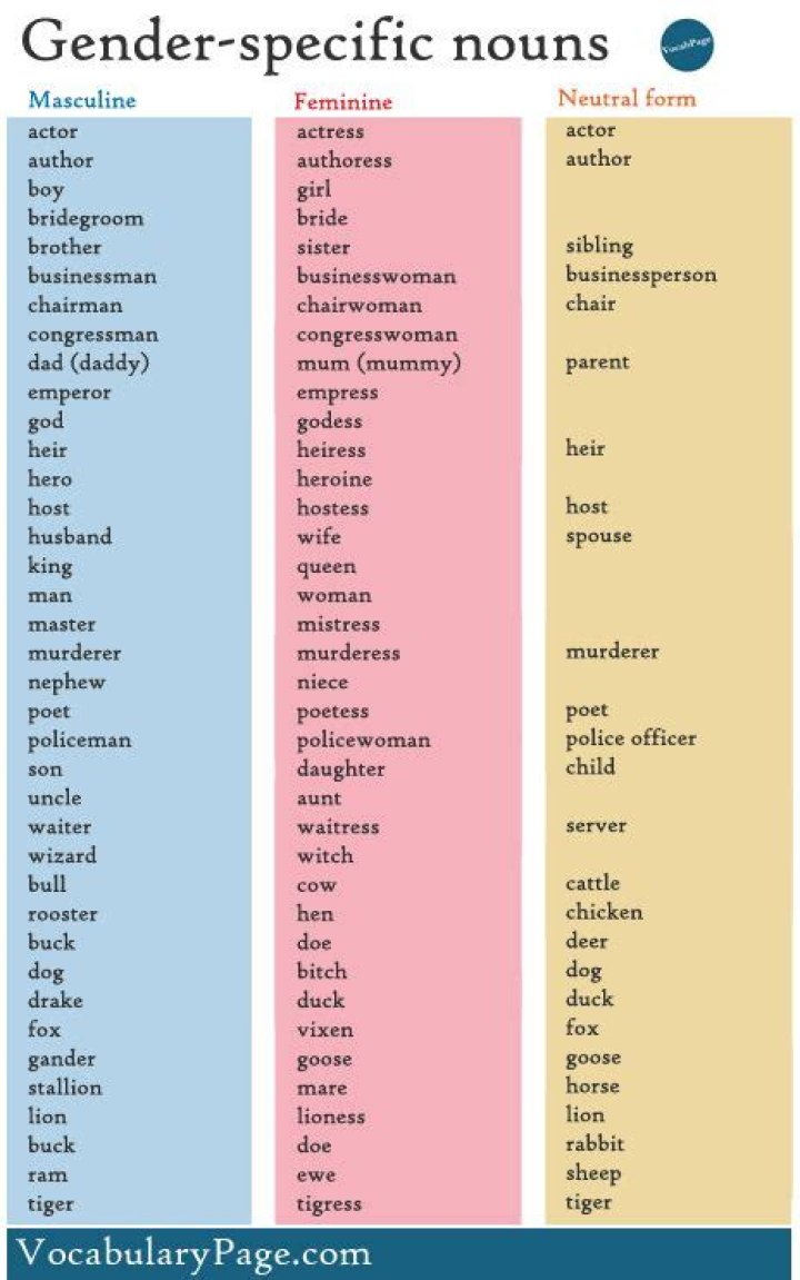 What is masculine and feminine noun